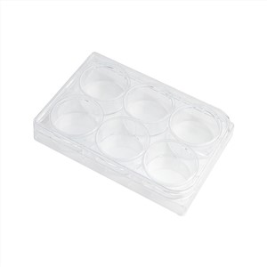 Sterile 24 Holes 12 Holes 6 Holes Plastic Tissue Culture Plates with Cover