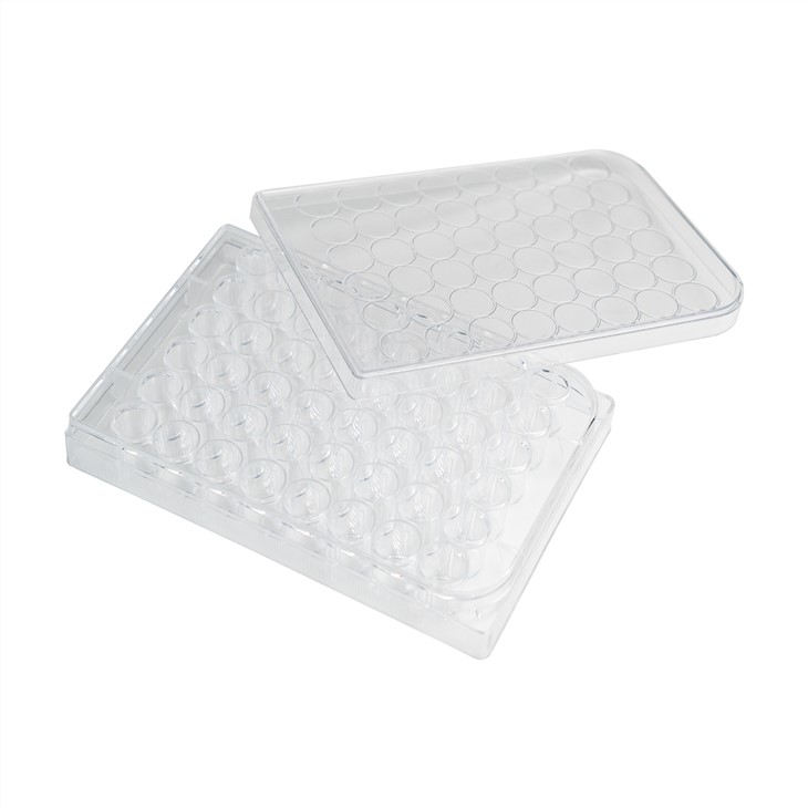 6孔聚苯乙烯透明无菌组织培养板、培养皿、细胞培养皿